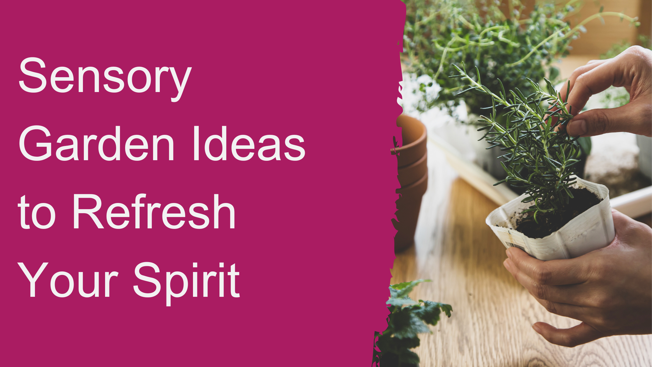 Sensory Garden Ideas to Refresh Your Spirit - Property Track